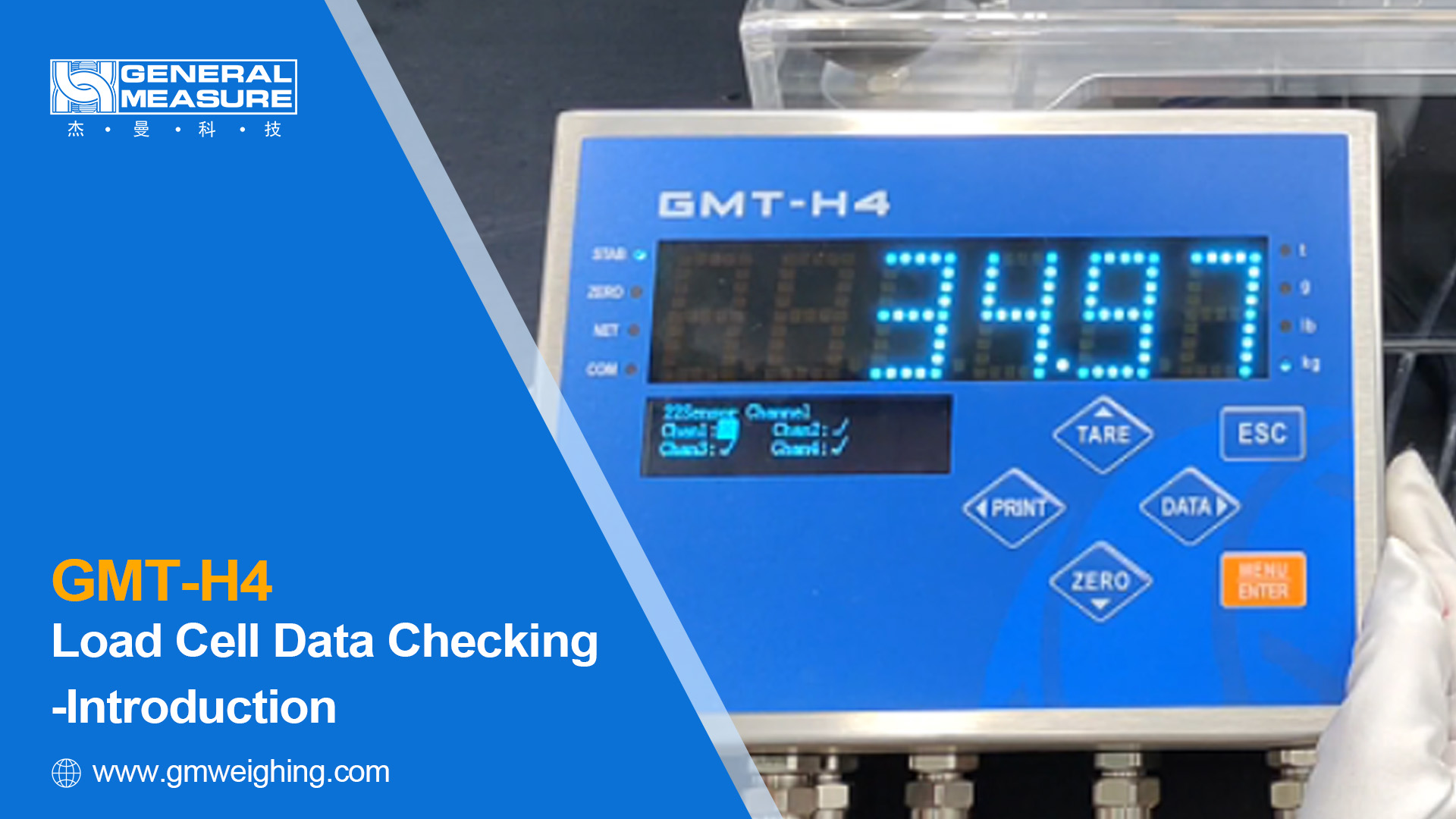 Load Cell Data Checking of Weighing Indicator GMT-H4 