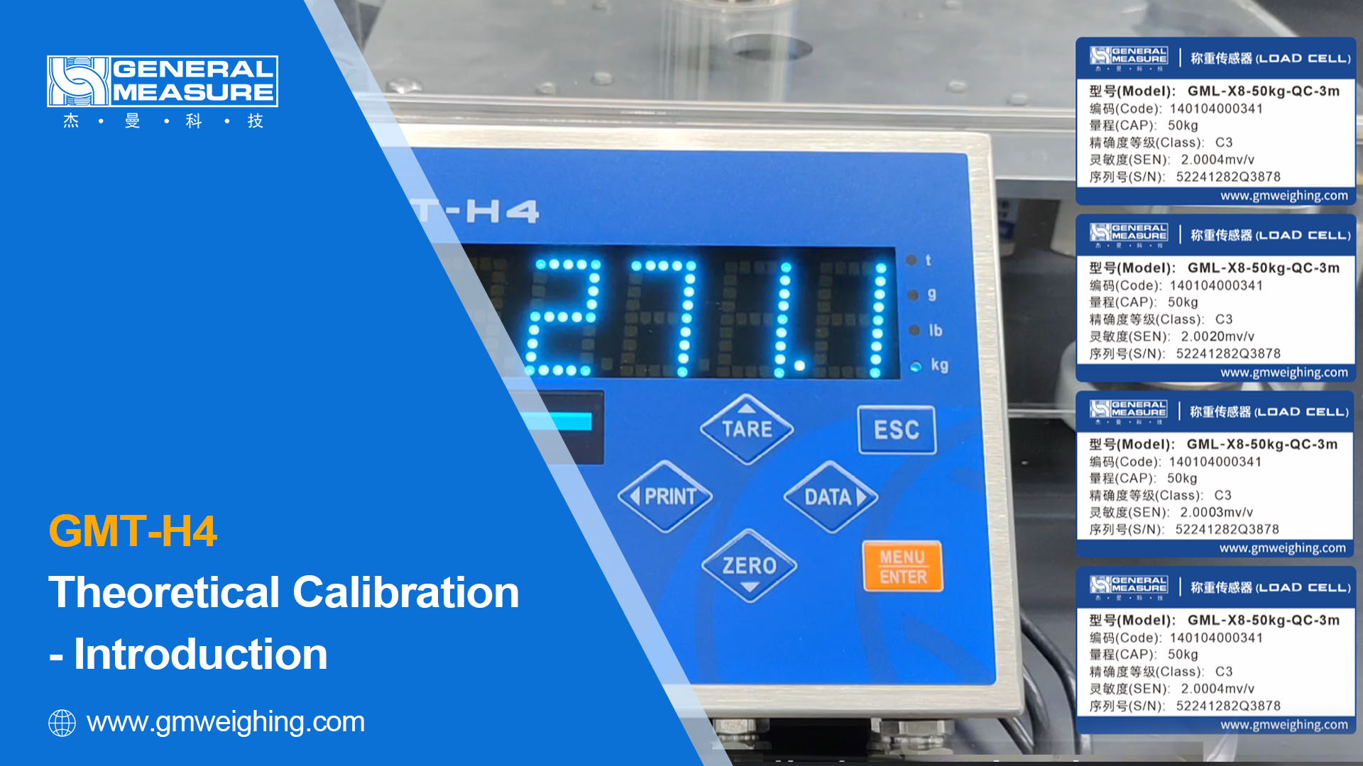 Weighing Indicator GMT-H4 Theoretical Calibration